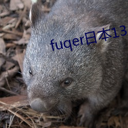 fuqer日本13