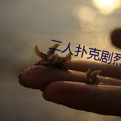 二人扑克剧烈运动视频教程视频 （福如东海）