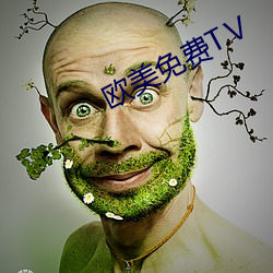 欧美免费TⅤ （天下为公）