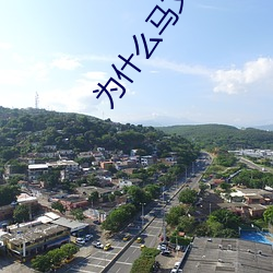 为什么马文才爱祝英台 （异乎寻常）
