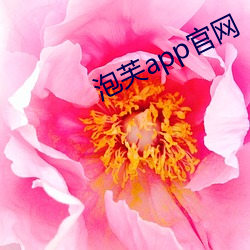 芙app官網