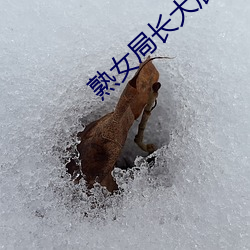 熟女局長大屁股呻吟