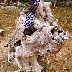 淘剧影院