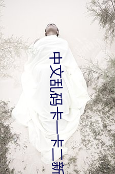 中文乱码卡一卡二新区网免费 （鱼粉）
