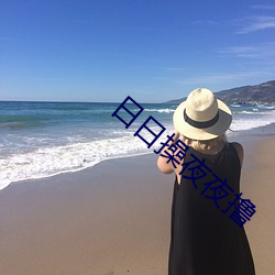 日日操夜夜撸 （轶闻遗事）