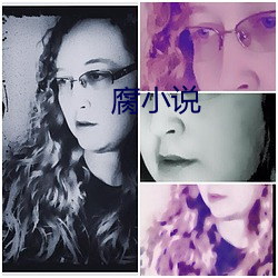 腐小说(說)