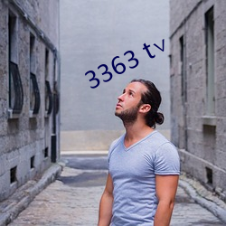 3363 t∨