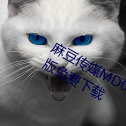麻豆传媒MD0044林予曦vip会员破解版免费下载