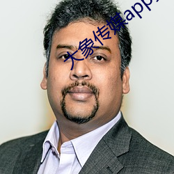大象傳媒app黃版入口