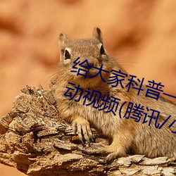 给大家科普一下二人打扑克剧烈运动视频(腾讯/小红书)