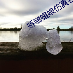 娇喘媚娘仿真名器倒模 （迎新送旧）