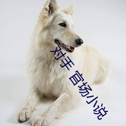 对手 官场小说