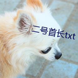 二(èr)号首长txt