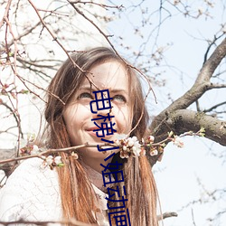電梯小姐動畫