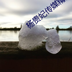 楊貴妃傳媒精品入口