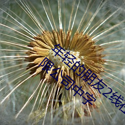 年轻(輕)的朋(朋)友2线在(在)完整(整)视频北(北)京(京)森馥(馥)科技(技)有(有)限公司(司)中字