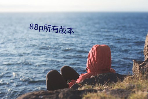 88p所有版本