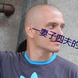 一妻子四夫的幸福生活 （更难仆数）