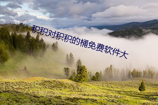 积积对积积的桶免费软件大