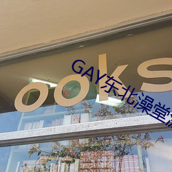 GAY东北澡堂激情2023