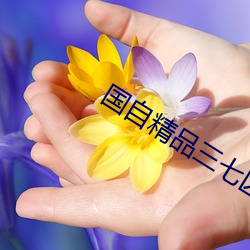 国自精品三七区