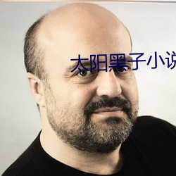 太阳黑子小说 （官衔）