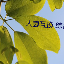 人妻互换 综合 （扁担星）