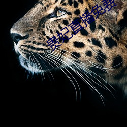 貴妃直播免費