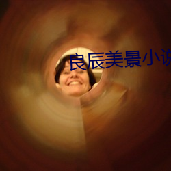良辰(chén)美景小说