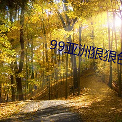99亚洲狠狠色综合久久位