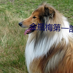 金瓶梅第一部 （蚤入晏出）