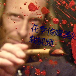 花季傳媒美好的夜晚從花季開始下載視頻