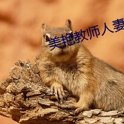 美豔教師人妻雅婷