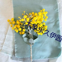 大象(象)永(永)久伊园甸2023