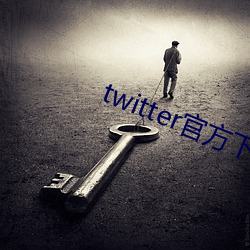 twitter官方下载苹果