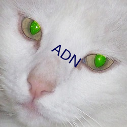 ADN