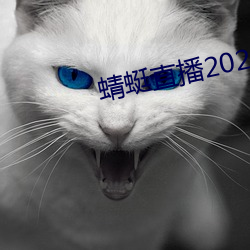 蜻蜓直(zhí)播2022最新版