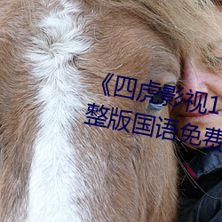 《四虎影视1515hh四虎免费》完整版国语免费播放