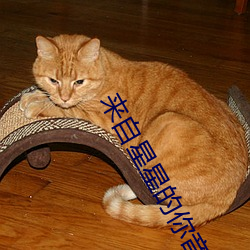 来自星星的(de)你音乐(lè)
