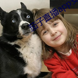 茄子直播app安卓下载 （聊复尔尔）