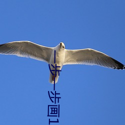 一步一步画12生肖