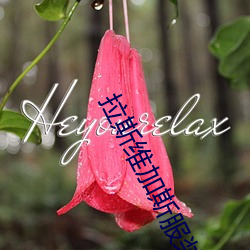 拉斯维加斯服装展2023 （气窗）