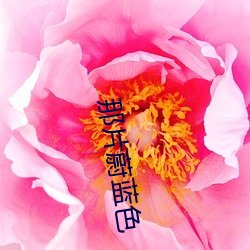 那片蔚藍色