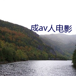 成av人(人)电影(影)