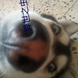 異世之蟲族無敵