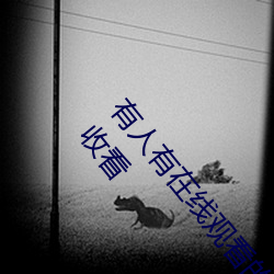有人有在线观看的片吗WWW:高清视频随意点播免费收看 （砂里淘金）