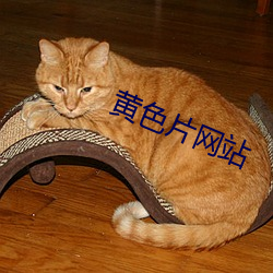 黄色片网站 （绉纱）