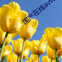 国产在线avvaav