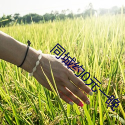 同城约0元一(一)晚(晚)
