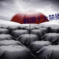 韩国十大禁播电影 （珠围翠拥）